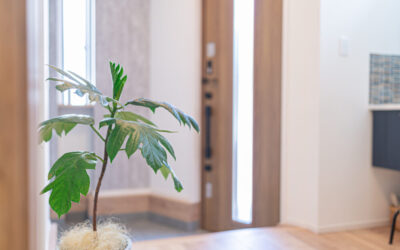 【Natural style】　GREEN HOUSE